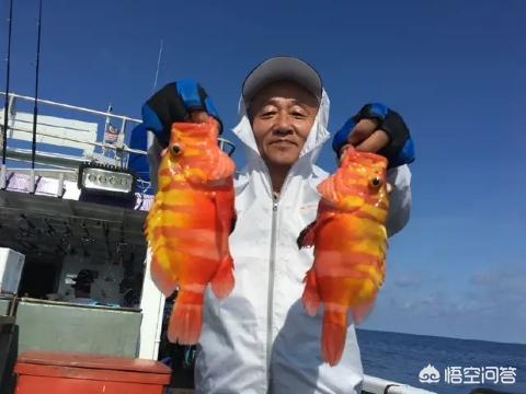 台湾成功港旗鱼价格多少钱一斤:如果让你出海钓一次鱼，你愿意出多少钱？