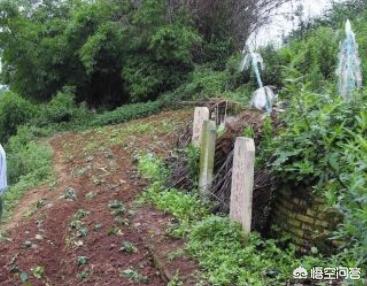 很多地方人去世后埋葬方式不一样,说说你见过什么样的坟墓？