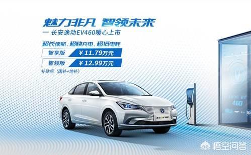 上海新能源汽车价格，新能源车和传统燃油车，价格方面的性价比有哪些