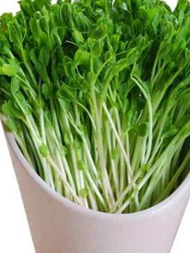 被种在农村菜园里,有人认得是啥不？