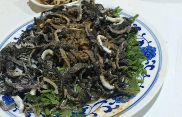 天津好吃的地方在哪里？求推荐？