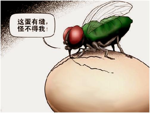 赵雅琪:林丹小三赵雅淇洒泪公开道歉，你怎么评价？
