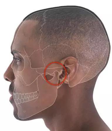 颞下颌关节所在区域颞下颌关节(temporomandibularjoint,简称tmj)位于