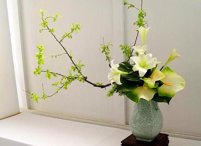 头条问答 插花怎么弄好看?需要掌握哪些技巧(2个回答)