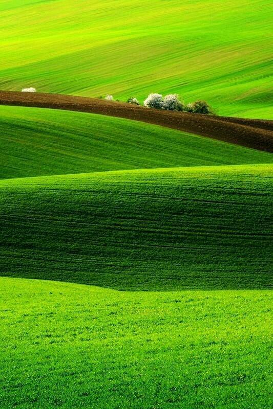 533_800竖版 竖屏