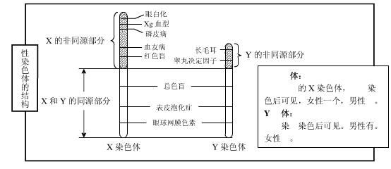 我们黄种人的祖先从非洲到东亚的迁徙路线是什么？:迁徙拼音