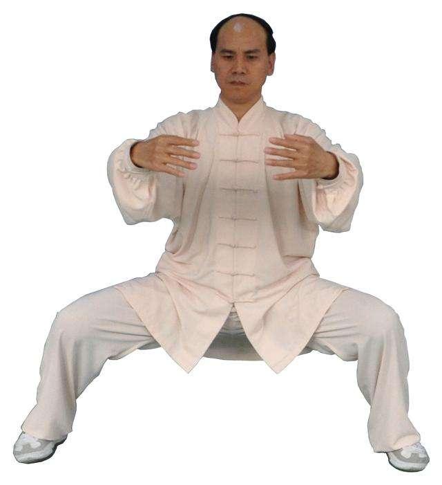 头条问答 - 中国武术马步的站法都有哪些,哪种最科学适合锻炼?