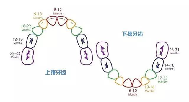 窝沟,孩子没蛀牙，要不要做窝沟封闭？