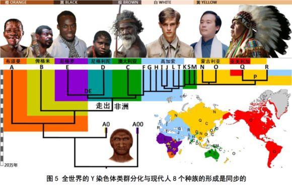 人种的由来？