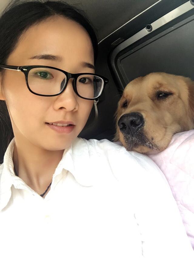 两岁金毛犬价格:我想养一只金毛，金毛一个月大概要花多少钱？ 2岁金毛犬价格