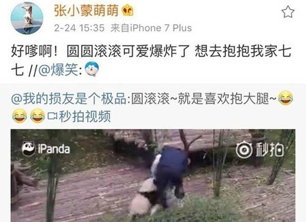 王思聪为什么能领养大熊猫？