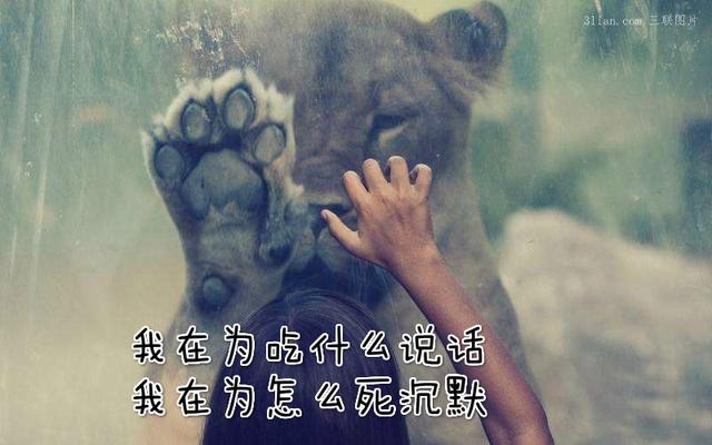 有哪些经典的朗诵诗歌？