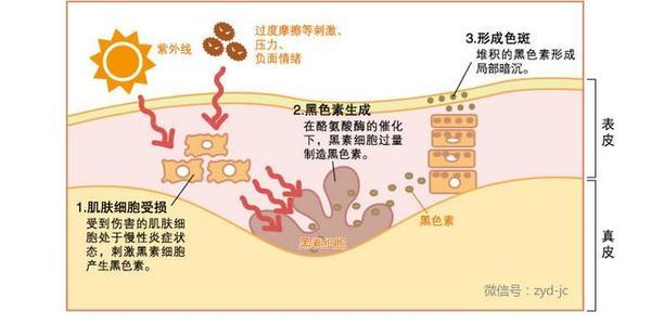 头条问答 有伤口不能吃深色食物 如酱油 是真的吗 3个回答