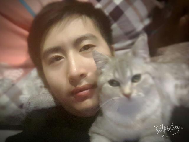 为什么晚上睡觉时猫咪总喜欢靠近自己的头，而且咕噜声还很大？插图8