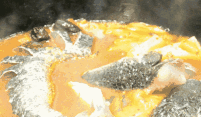 笋壳鱼是入侵物种吗，为什么说入侵我国的外来物种生活在水深火热之中
