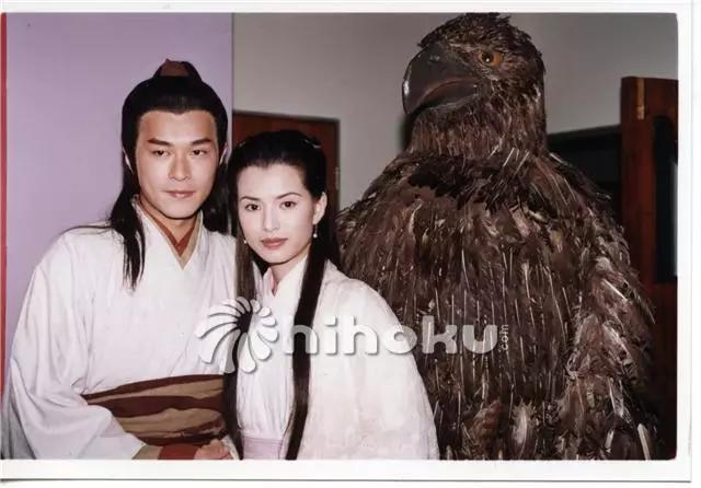 李若彤电视剧:李若彤的演技是什么水平？