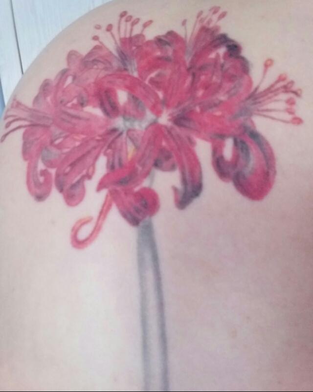 关于彼岸花,以及彼岸花背后的故事,大家了解多少？