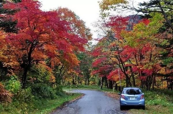 日本旅游线路,日本有哪些好玩又便宜的地方？