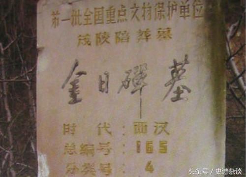 金日磾:金日磾是个胡人，凭什么得到汉武帝的宠信与重用？
