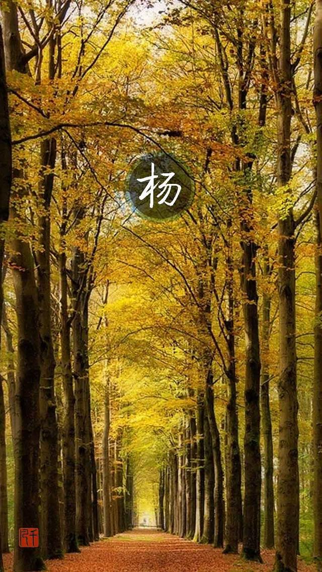 杨姓的由来?到底是怎么个来由？