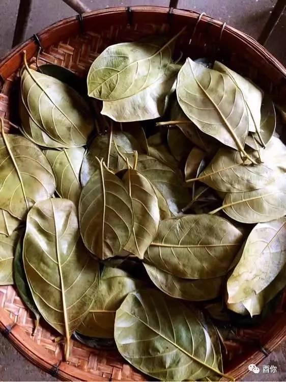 广东人早餐一般吃什么？插图52