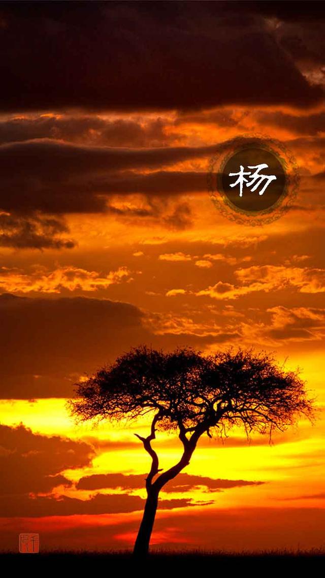 杨姓的由来?到底是怎么个来由？