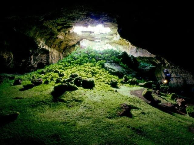 神秘洞穴阴森灵异事件:你听过特大型蟒蛇的事件吗？