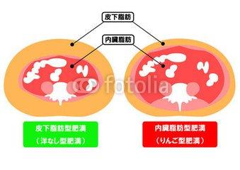 头条问答 怎么分辨腹肌上的脂肪是皮下脂肪还是内脏脂肪 分别应该如何减脂才有效 6个回答