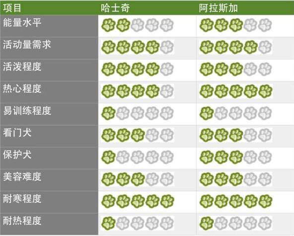 hashiqi壁纸:你认为哈士奇能不能通过训练不那么傻？