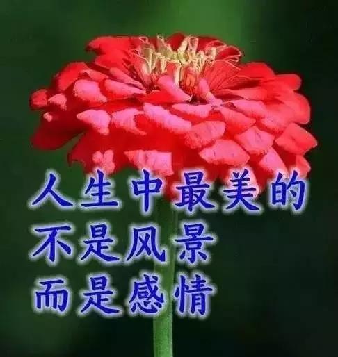 社交多的人比社交少的人幸福吗