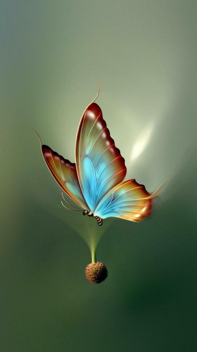 头条问答 - 你见过最漂亮的手机壁纸是哪张?(11个回答)