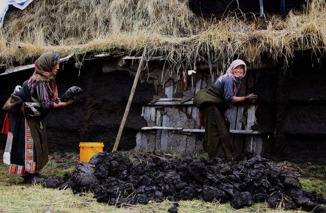 走东方运是什么意思,为什么好运都叫“走了狗屎运”？