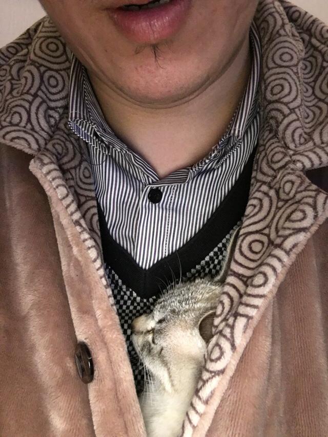 为什么晚上睡觉时猫咪总喜欢靠近自己的头，而且咕噜声还很大？插图43