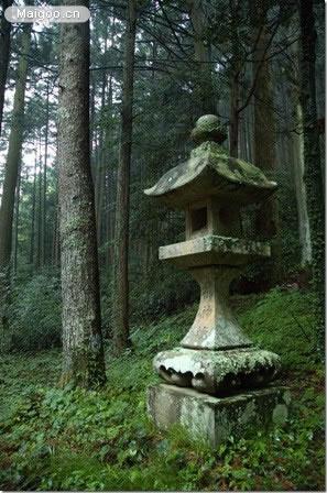 日本神木加油灵异事件:日本有哪些令你印象深刻的妖怪故事？