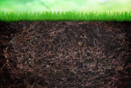 科学施肥让土壤更肥沃,怎样让作物更健康?