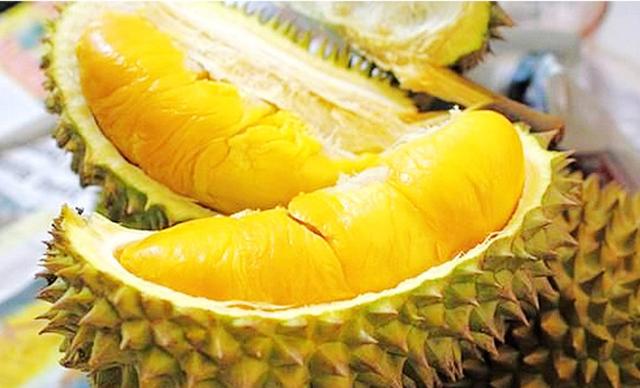 菠萝蜜有黑斑点能吃吗，海南岛的大树菠萝和榴莲营养价值有什么不同