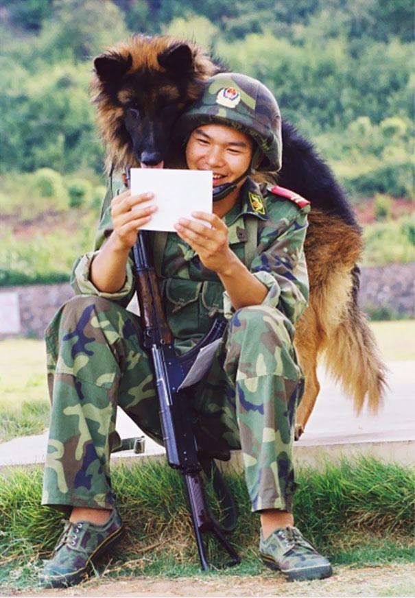 男子被牧羊犬袭击知道:女子遛狗却被爱犬咬伤颈动脉，你怎么看？ 被牧羊犬袭击的真实视频