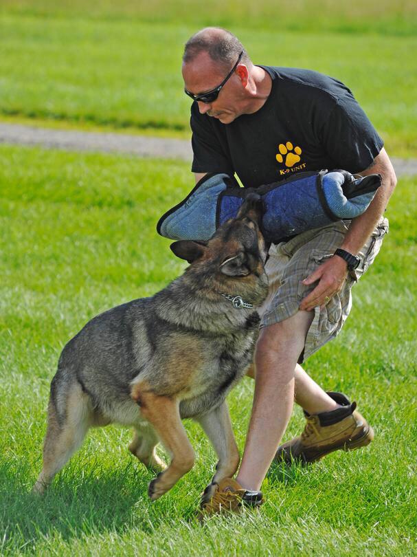 国外狗狗和人杂交视频播放:世界上最大的是犬种可以和最小的犬种杂交吗？