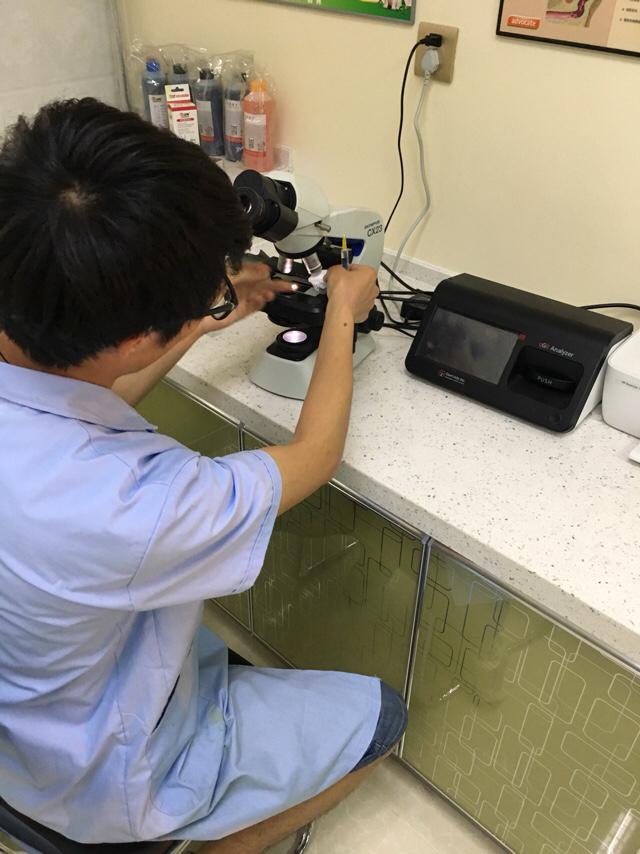 拉酷拉布拉多犬舍:拉布拉多犬的价格一般是多少？