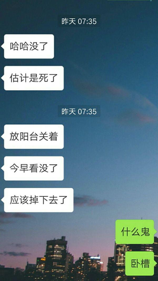 哈士奇大战藏獒壁纸:哈士奇是否会因为智商低而被其他犬类歧视？ 哈士奇咬死藏獒