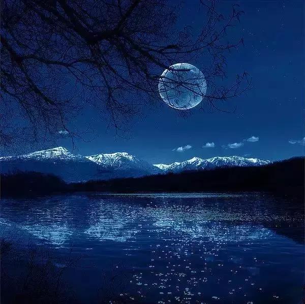 叫什么网名好听呢？