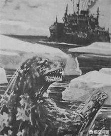 南极哥斯拉:哥斯拉存在吗？1958年船员们看到的巨型生物，又该如何解释？