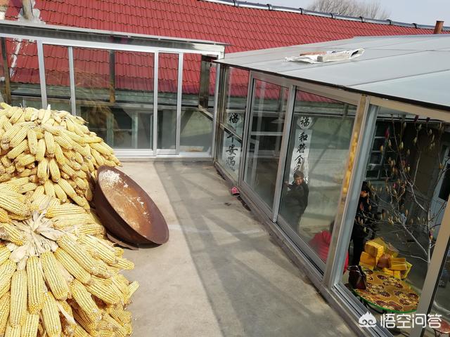 很阳光的微信名字:农村人的全封闭式阳光暖房到底好不好为什么