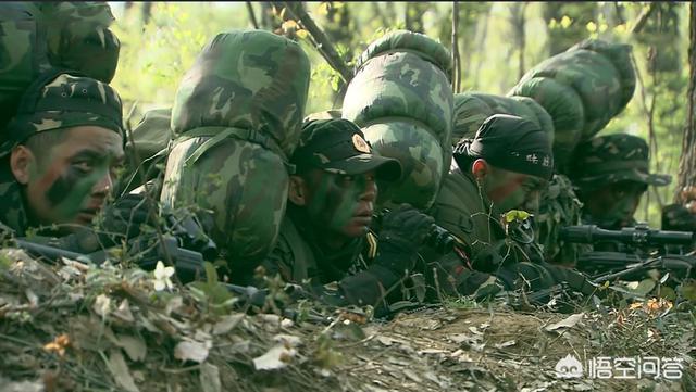 我是特种兵简介:《我是特种兵》电视剧中，孤狼特别突击队和眼镜蛇小队哪个厉害？
