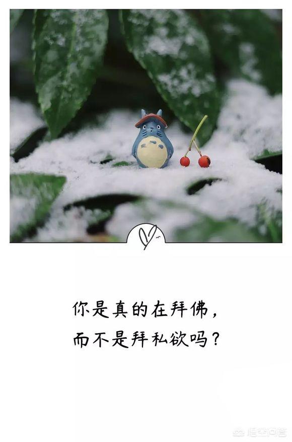 头条问答 如果正确解读 教父 这句台词 花半秒看透和花一辈子都看不清的人 注定不同的命运 可爱君ii的回答 0赞