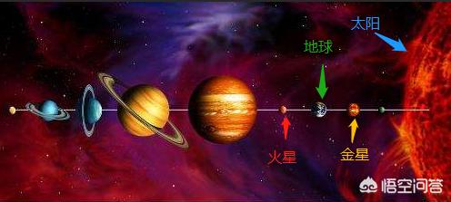 翻车鱼兽:巨型翻车鱼一般出现在哪里