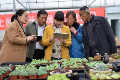 新手入行电商行业需要具备什么条件，想学习电商行业，需要具备什么条件，怎么从0开始