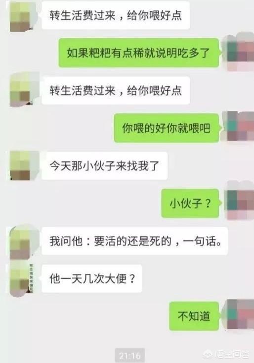 殴打柯基幼犬:柯基犬被摔事件：当事双方均被行拘7天，你怎么看？