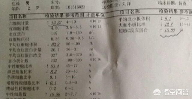 超敏c反应蛋白高说明什么:C-反应蛋白高是怎么回事？应该如何降低？