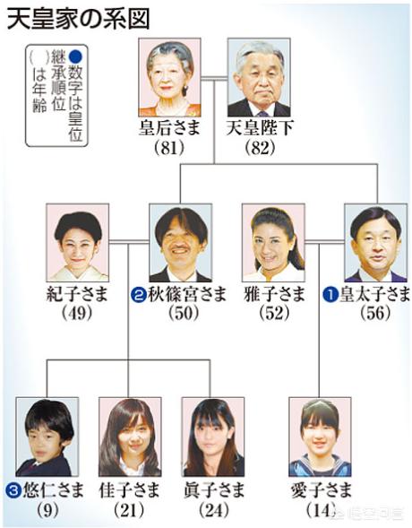 希巴女王:德仁皇太子膝下无子，将来传位于女还是让侄子继位？